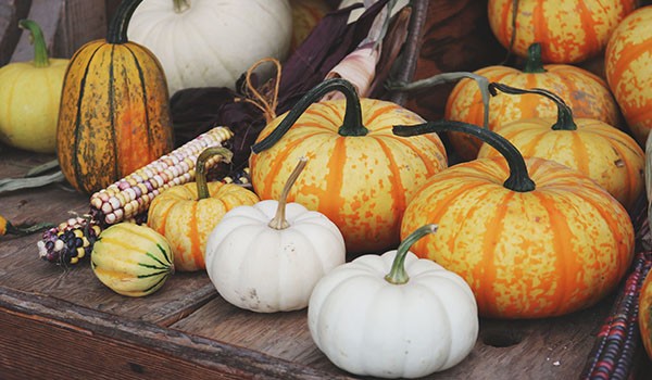 Zucca troppo grande? Ecco come conservarla