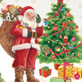Picture for category Christmas themed products