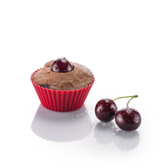 Gebruiksvoorwerp voor het verwijderen van de cakes core- Westmark