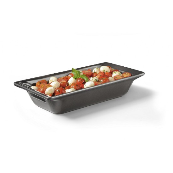Gastronorm baking dish, ceramic, 32.5 x 17 x 6.5 cm, GN 1/3 - Emile Henry