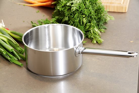 Saucepan with lid, 16 cm / 1.5 "Apollo", stainless steel - Demeyere