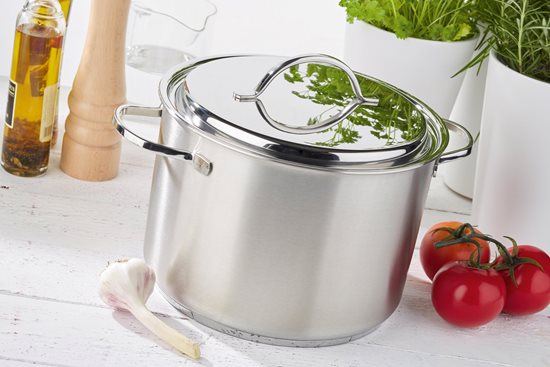 Cooking pot with lid, 24 cm/7 l "Resto", stainless steel - Demeyere