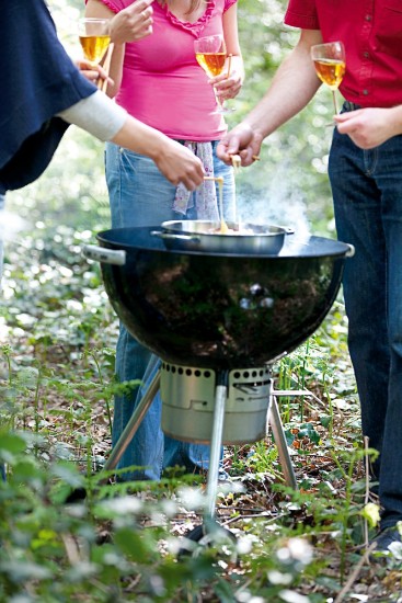 Rustfrit stål ryger, 28 cm, "Specialties" - Demeyere