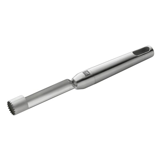 Vaisių šerdies ir kauliukų šalinimo įrankis, 22 cm, nerūdijantis plienas, <<TWIN Pure Steel>> - Zwilling