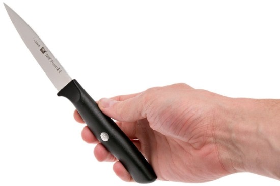 Peeler knife, 10 cm, <<Zwilling Life>> - Zwilling