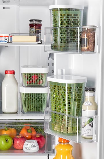 Conjunto de 2 dispositivos de manutenção de alimentos Greensaver - OXO