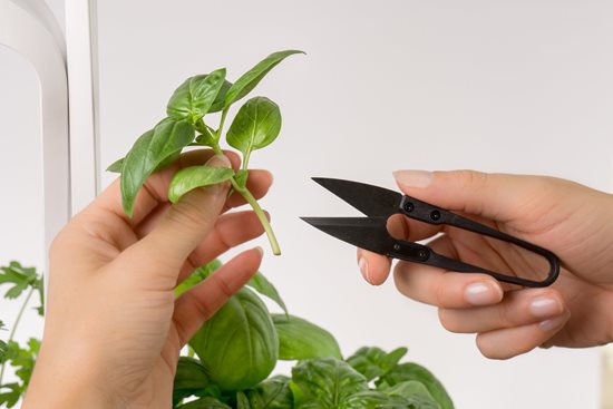 Mini-scissors, 10.4 cm - "VERITABLE" brand