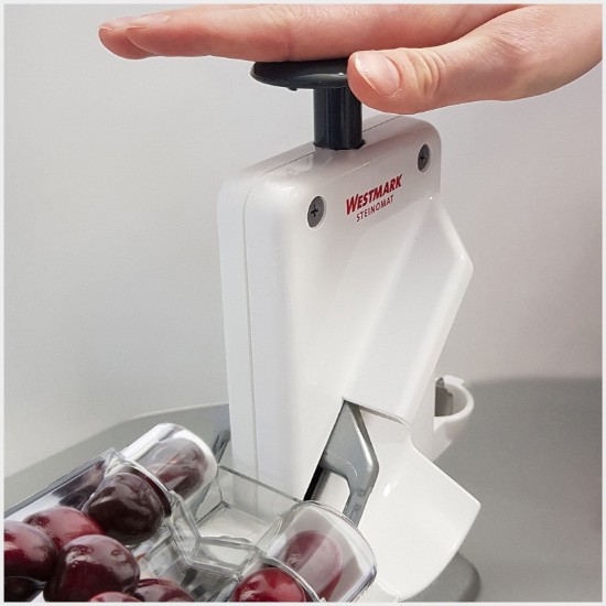 Dispositivo para remover pips - Westmark