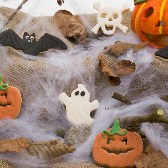 4 Halloween küpsisevormi komplekt - Westmark