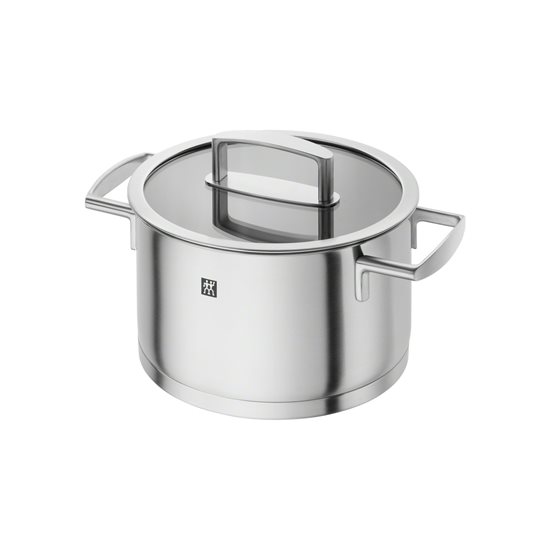 Pota cócaireachta le clúdach, cruach dhosmálta, 20 cm / 3.5 l, <<Vitality>> - Zwilling