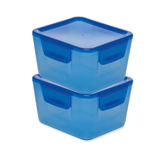 1200 ml plastmatbehållare, blå - Aladdin