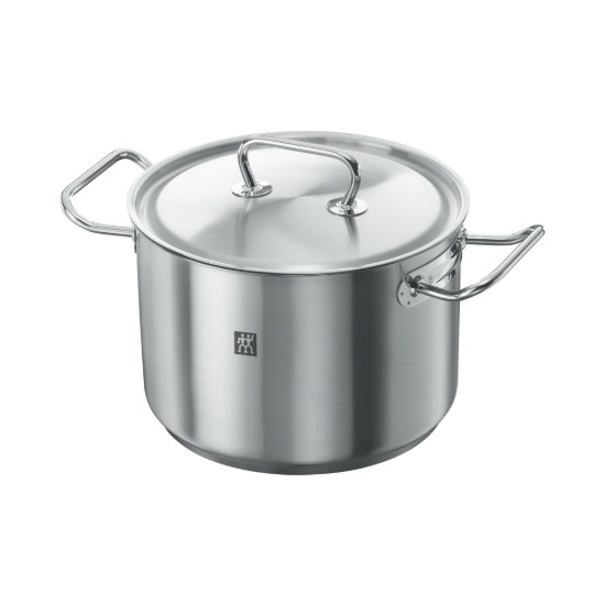 Stockpot with lid, 24 cm, 6 l, stainless steel, "Twin Classic" - Zwilling