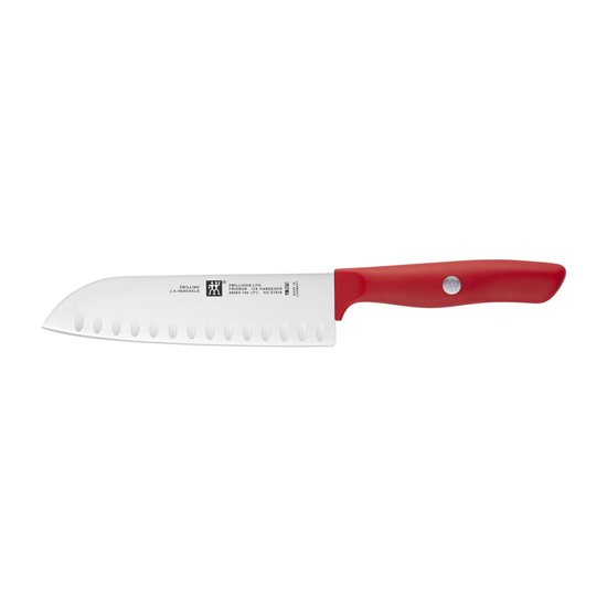 Sraith scian 2 phíosa, <<ZWILLING Life> - Zwilling