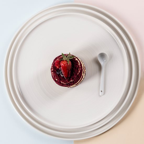Plate, porcelain, 30 cm, "Alumilite Anillo" - Porland
