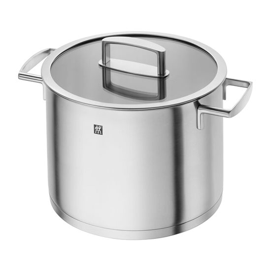 Stockpot bl-għatu, 24 cm / 8 l, azzar li ma jissaddadx, "Vitality" - Zwilling