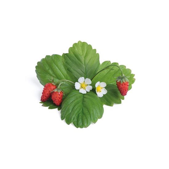 Set mit 4 Lingot-Erdbeersamenpackungen und Bestäubungsbürste - Marke "VERITABLE".