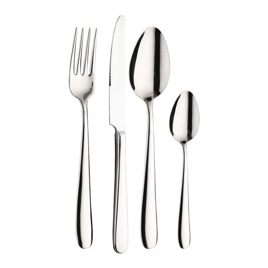 Servizio di posate in acciaio inox "Maitre" 24 pezzi - Pintinox