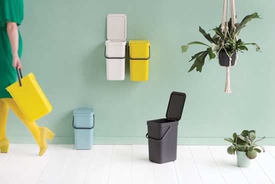 "Sort&Go" miskaste, plastmasa, 12L, pelēka - Brabantia