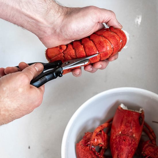 6-piece seafood serving set - "de Buyer" brand