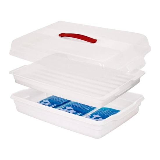 Lided food container, 45 x 29.5 x 11.1 cm - Curver