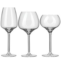 12-pcs Experts wine glass set - Royal Leerdam