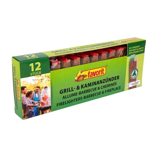 12-piece set of firelighters for barbecue