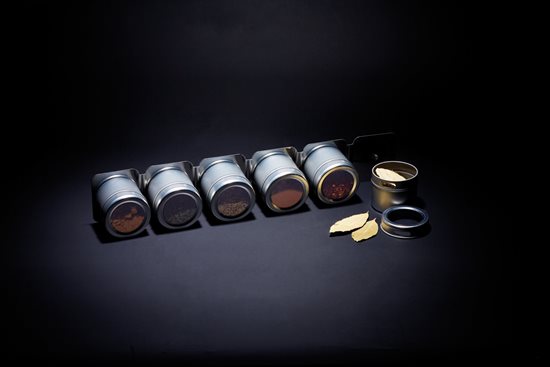Set s magnetskim nosačem za začine, 43 × 7,5 cm - Kitchen Craft
