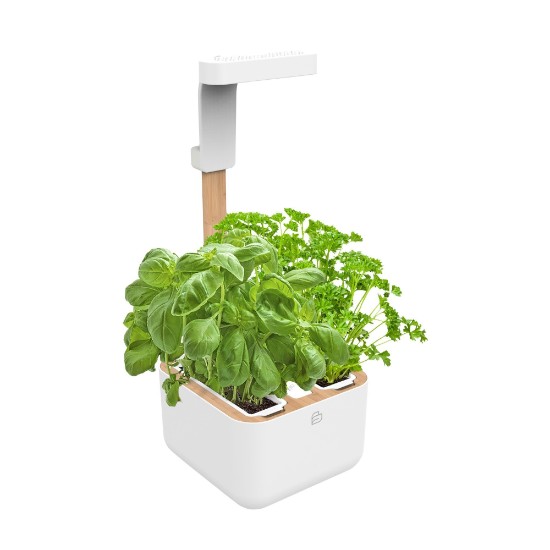 Botaneo Eylo planter, White - Veritable