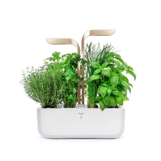 "CONNECT Garden" planter, 33 x 18.5 x 45 cm, "Moonlight Gold" - "VERITABLE" brand