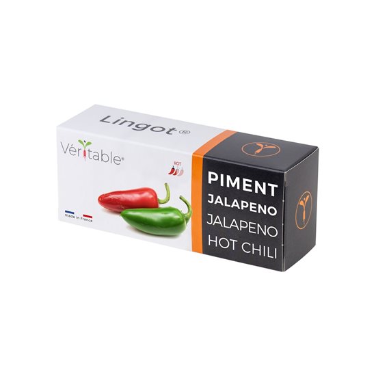 Συσκευασία με σπόρους καυτού πιπεριού Jalapeno, "Lingot" - VERITABLE μάρκα