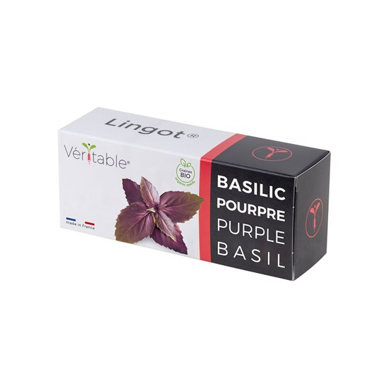 Package of "Lingot" purple basil seeds - VERITABLE brand