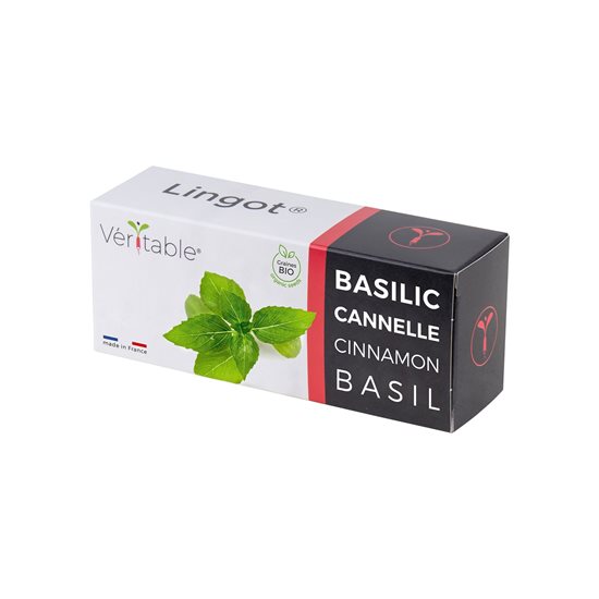 Pacáiste de shíolta basil le blas cainéal "Lingot" - branda VERITABLE