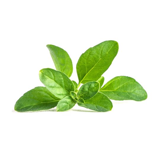 Pakkett ta 'żerriegħa ta' mentha pulegium "Lingot" - marka VERITABLE