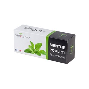 Package of "Lingot" mentha pulegium seeds - VERITABLE brand