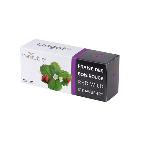 Paket "Lingot" sjemenki šumskih jagoda - VERITABLE brand