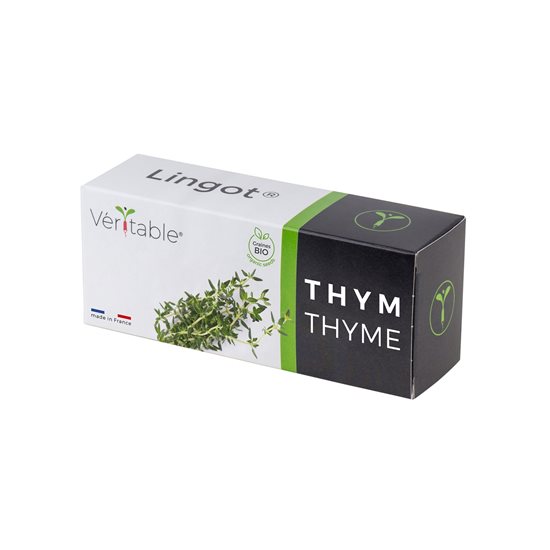 Pacáiste de shíolta thyme "Lingot" - Veritable