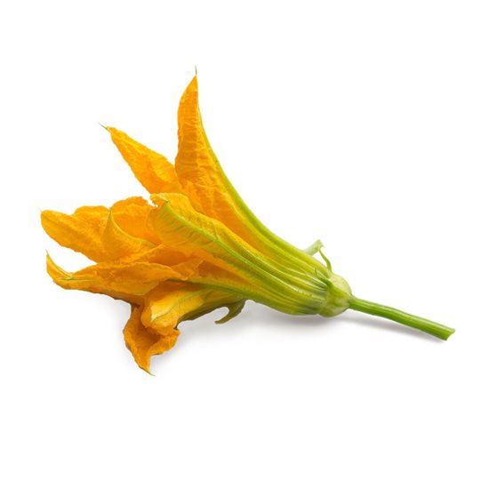 "Lingot" kabak çiçeği tohumları içeren paket - VERITABLE marka