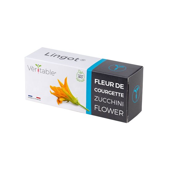 Paquete con semillas de flores de calabacín "Lingot" - marca VERITABLE