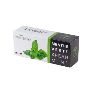 Package of "Lingot" mint seeds - VERITABLE brand