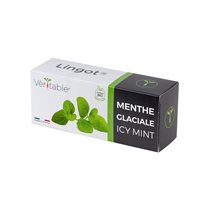 Package of "Lingot" icy mint seeds - VERITABLE brand