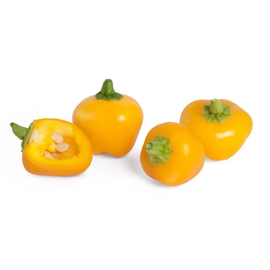 Package of yellow mini-bellpepper "Lingot" seeds - VERITABLE brand