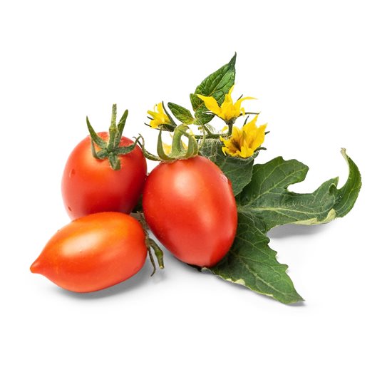 Package of mini-tomatoes seeds, "Lingot" - VERITABLE brand