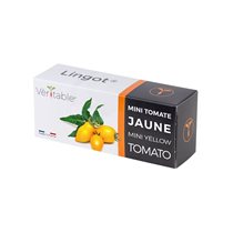 Package of yellow mini-tomatoes "Lingot" seeds - VERITABLE brand