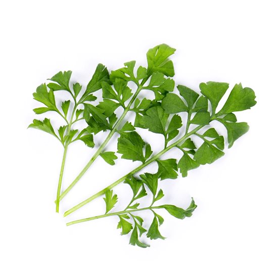 Package of "Lingot" watercress seeds - VERITABLE brand