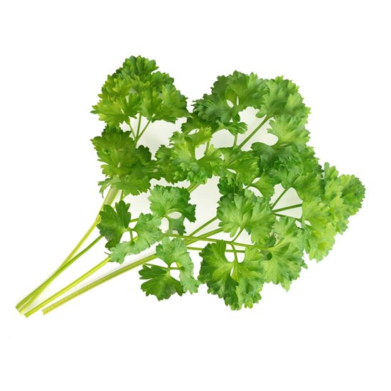 Package with "Lingot" curly parsley seeds - VERITABLE brand