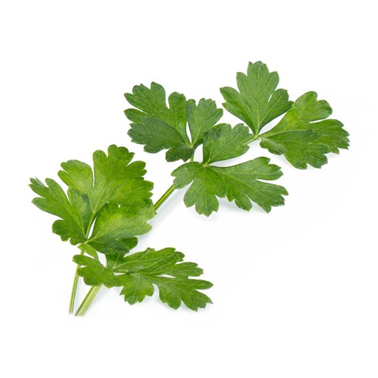 Package with "Lingot" Italian parsley seeds - VERITABLE