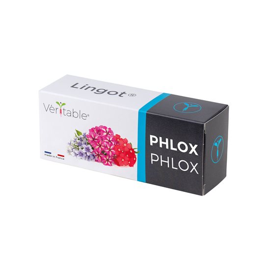 Balíček semen "Lingot" Phlox - značka "VERITABLE".