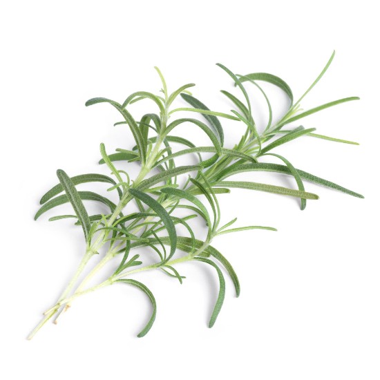 Package with "Lingot" rosemary seeds - Veritable