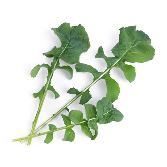 Confezione di semi di rucola "Lingot" - marchio VERO