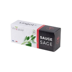 Package with "Lingot" sage seeds - VERITABLE brand